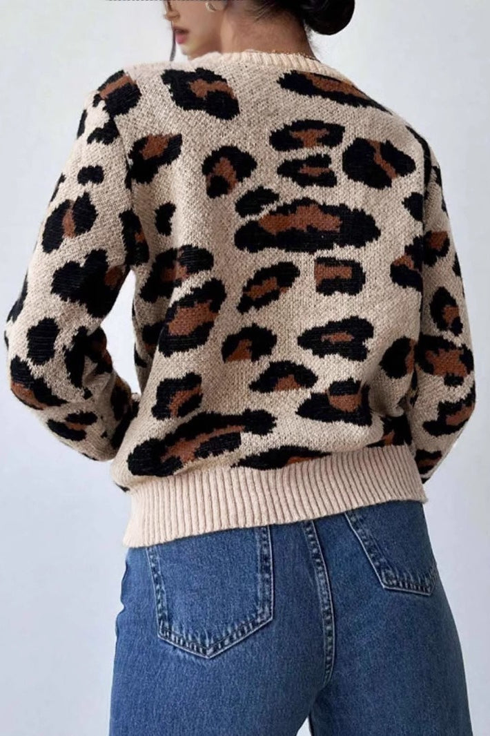 Leopard-Print Crew-Neck Contrast-Detail Sweater