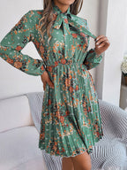 Polyester Pleated Sheer Dress