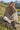 Crewneck Flared Sleeve Fuzzy Sweater Secondary image