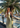 Jersey Halter Maxi Dress Secondary image