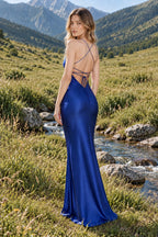 Emilia Satin Draped Gown