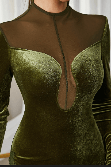Velvet Mesh Panelled Dress