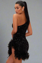Velvet Polyester Mesh Mini Dress