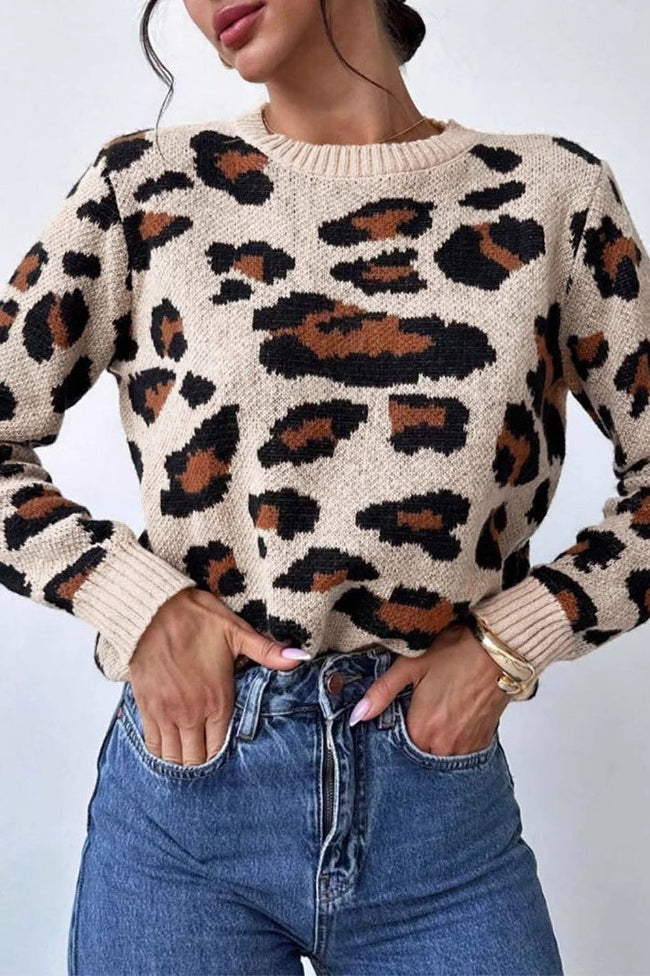 Leopard-Print Crew-Neck Contrast-Detail Sweater Main image